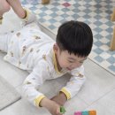 지니 나비 | 손에 묻지 않는 24색 나비북스 지니백 매직크레용