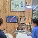 청천종합동물병원 이미지