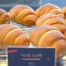 도림 | 서촌 이도림 카페 후기, 흑백요리사 디저트 맛집 대신 찾아간 블루리본10년 받은 대형카페
