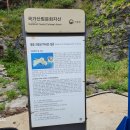 특산자생식물의 천국 관음도 복원사업지를 가다. 이미지