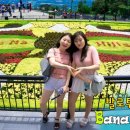 바나플라워 이미지
