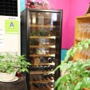 먹자골목 입구 오거리 이미지