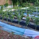 창우농장 이미지