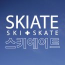 스키에이트가 ' 2012 서울 기프트쇼 '에 초청되어 전시됩니다~~!! 이미지