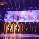 펫클라스
