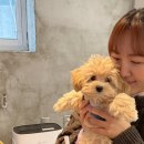 원두유