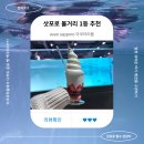 펭귄 | 삿포로 볼거리 aoao 아오아오 아쿠아리움, 입장권 가격 카페메뉴 아기펭귄 후기