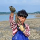 웅도 어촌체험마을 이미지