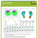 레푸스&에이레네