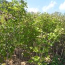 덕산면019 이미지