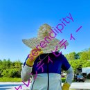 양식중식조리사자격 이미지