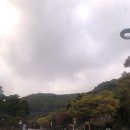 숲 | [경기도 광주] 곤지암 화담숲 후기 - 주차 / 구경 팁!!