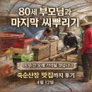 작업실고요 | 충남 아산 둔포면, 80세 부모님과 함께한 파종기로 씨뿌리는 이야기와 죽순산장맛집까지 후기