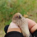 서호태양광발전소 이미지