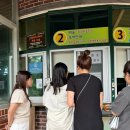 절물자연휴양림 | 제주도 7월 여행지 추천 절물자연휴양림