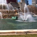 퍼플크라운 이미지