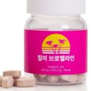 힐미 이미지