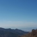 두손모아 반딧불이 이미지