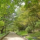 미동산수목원 동양일보