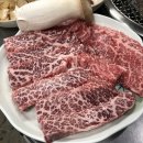 새마을정육식당 - 5153 | 새마을정육식당