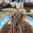 [의왕 맛집] 더위 날리는 시원함! 막국수와 메밀전병이 맛있는 '봉평고향메밀촌' 내돈내산 솔직후기