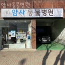암사동물병원 | 강동구 암사동 동물병원 암사동물병원 진료시간 접근성 이용후기
