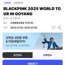 2025 블랙핑크 콘서트 일반예매 첫 성공 후기 @고양종합운동장 좌석 W4 3층 11열
