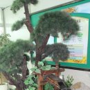 율전초교 이미지