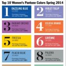 레디언트 이미지