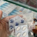 글로리카닥터 | thrang] 씀모이가든, 안토이, 반미판, 그릭수블리카, cccp, 콩카페, 김치식당, ivy호텔, 반미판, 나쨩...