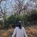 올바른세탁 | 겨울 여자 등산모자 추천 노르디스크 여성 버킷햇 올바른 등산모자 세탁 방법