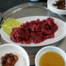 오늘도한잔 Daum카페