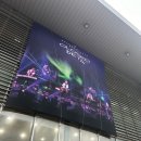 개. 즐겁개 | 고삼의 엑디즈 콘서트 후기
