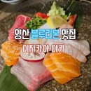 양산 | 양산 중부동 블루리본 맛집 이자카야 아카 술집 솔직 후기