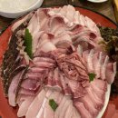 지혜수산 | [내돈내산]갈산동 지혜수산 제철 방어 제대로 즐기고 온 후기!