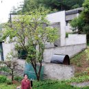 생각속의 집 이미지