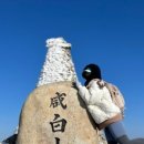 장터옛날통닭죽변점 이미지