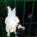 근원농장 이미지