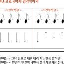 기타교실(A) 이미지