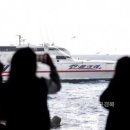 썬풀라워 이미지