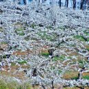 모산골방죽 이미지