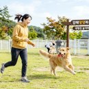 댕댕키친 | 김해댕댕파크 이용 꿀팁 총정리 : 무료 입장, 반려견 크기별 분리, 이용 규정까지