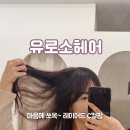 신윤미용실 네이버블로그