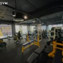 아놀드GYM 이미지
