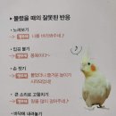 모먹지 이미지