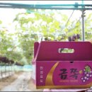 인처골시골밥상 이미지