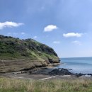 안덕면 용머리 공영주차장 입구 이미지