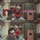유메 Daum카페