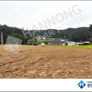 윤택 태양광발전소 이미지