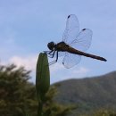 밀양힐링펜션 이미지